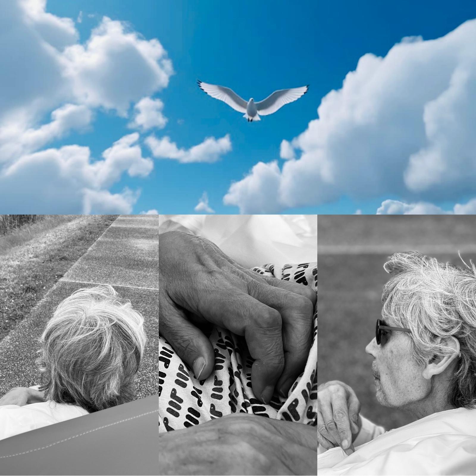 Photo de Jean-Luc RUBI